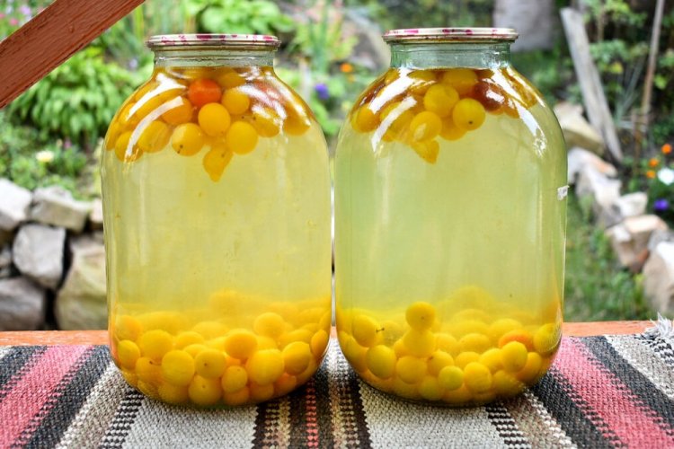 Компот из желтой алычи на зиму