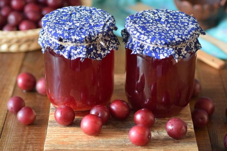 Желе из алычи с желатином на зиму