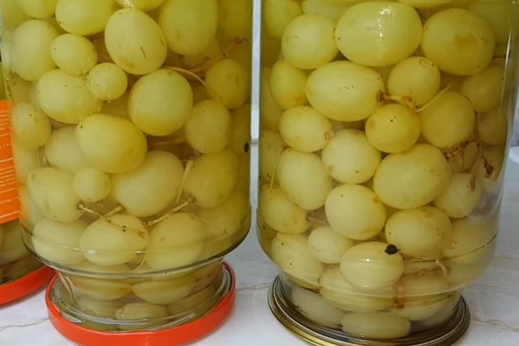 Маринованный виноград с растительным маслом на зиму