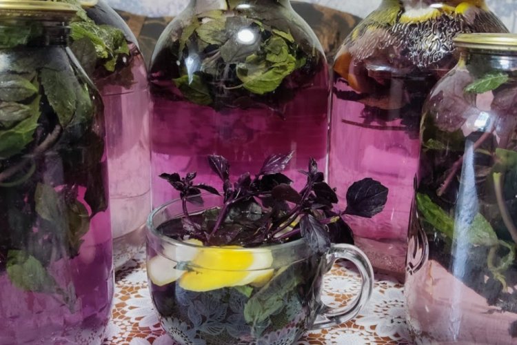 Компот из базилика на зиму