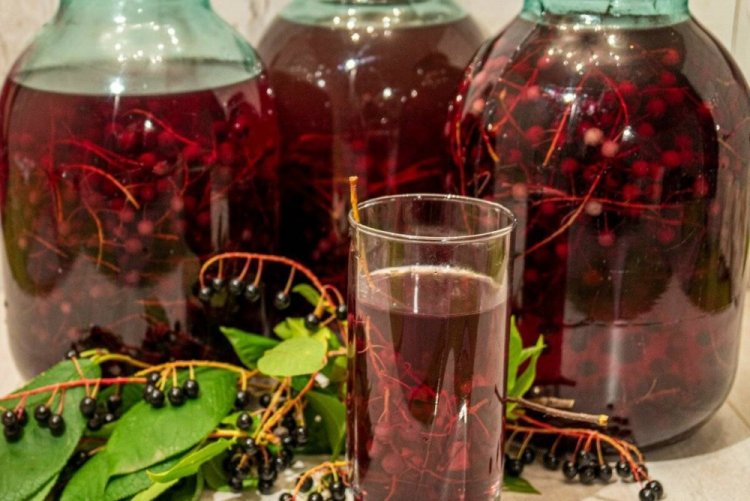 Компот из черемухи на зиму