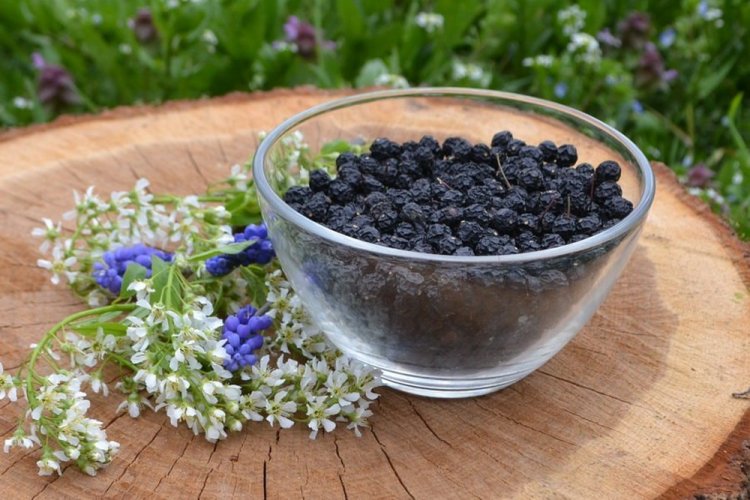 Сушеная черемуха на зиму