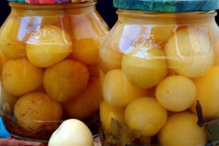 Острый физалис на зиму