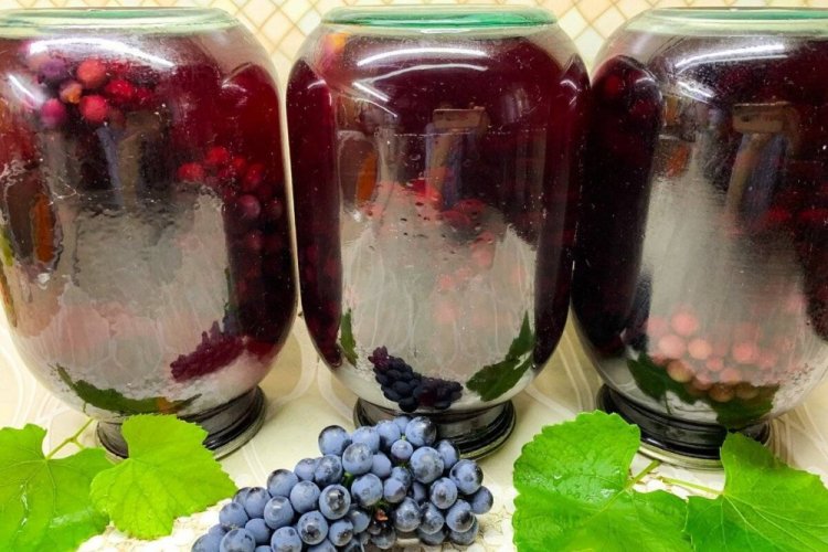 Компот из винограда Изабелла на зиму