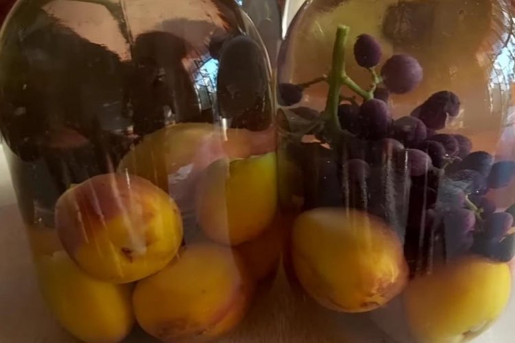 Компот из нектаринов и винограда на зиму