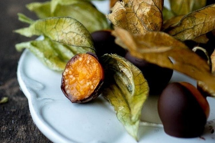 Физалис в шоколаде