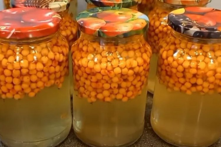 Компот из облепихи на зиму