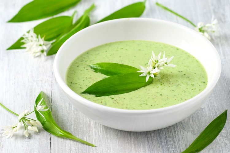 Суп-пюре из черемши с картошкой