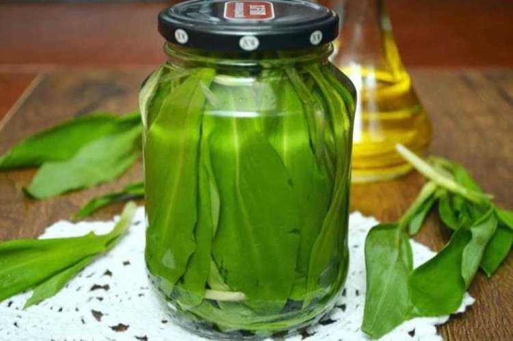 Маринованная черемша на зиму