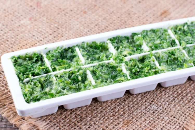 Замороженная черемша с оливковым маслом на зиму