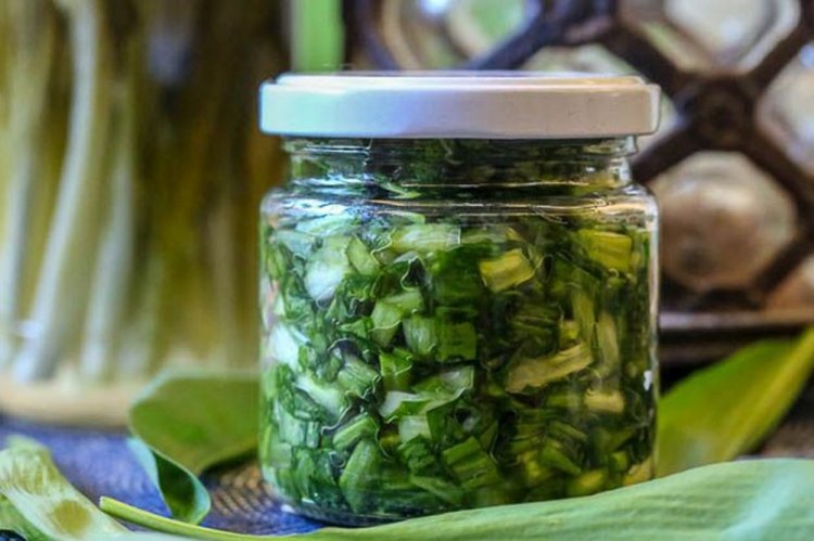 Соленая черемша на зиму