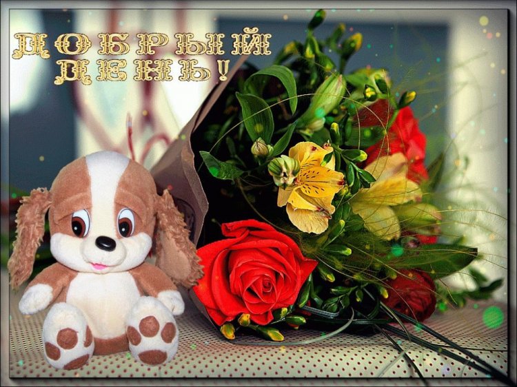 Картинки «Добрый день!» женщине