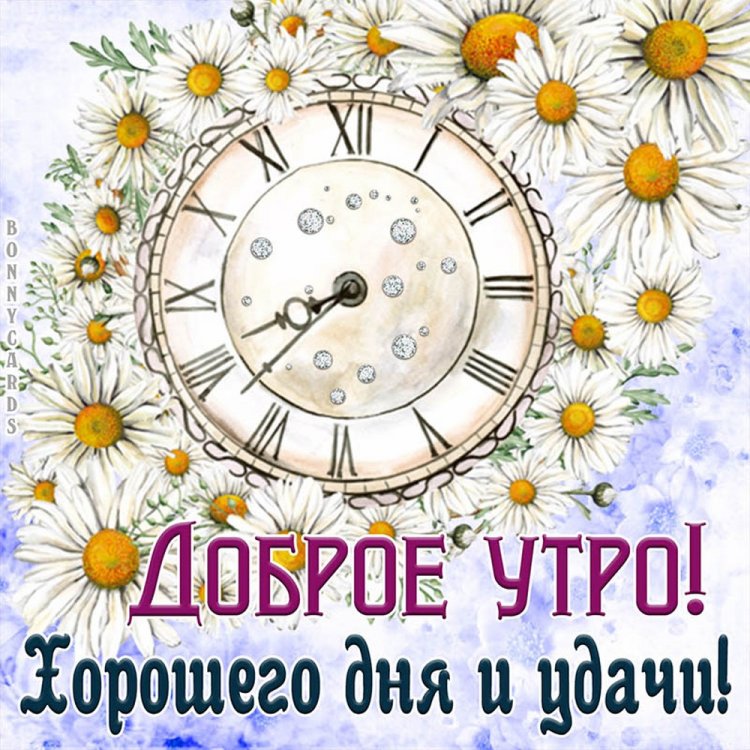 Картинки «Доброе утро и хорошего дня!»
