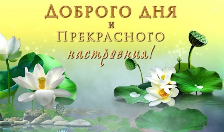 Красивые картинки «Добрый день!»