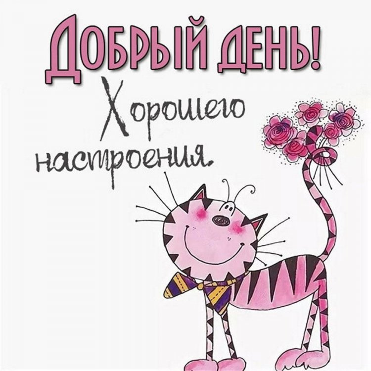 Самые прикольные картинки «Добрый день!»