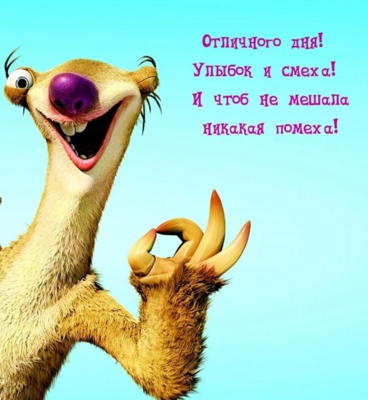 Самые прикольные картинки «Добрый день!»