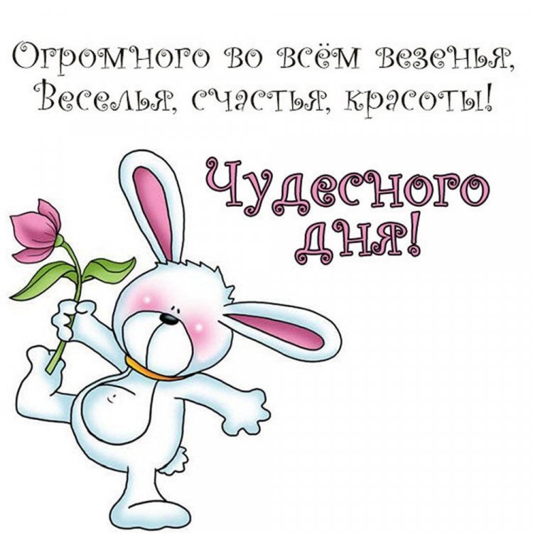 Самые прикольные картинки «Добрый день!»