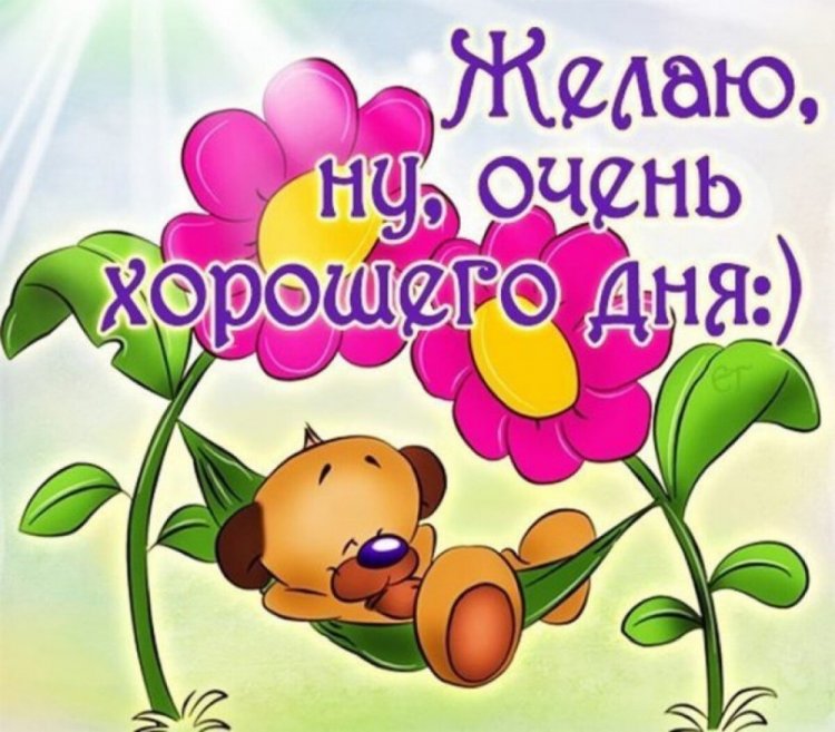 Самые прикольные картинки «Добрый день!»