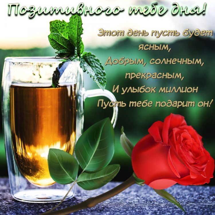 Картинки «Добрый день!» мужчине