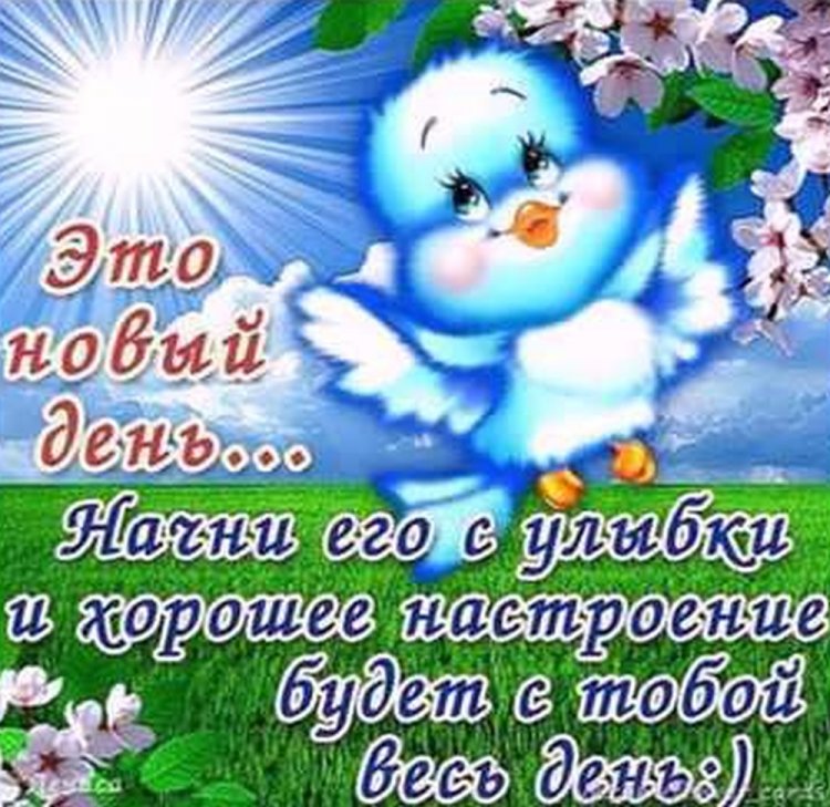 Картинки «Добрый день!» с позитивными пожеланиями