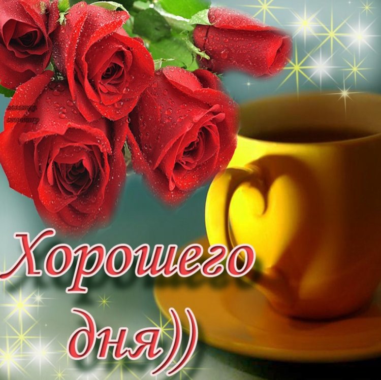 Картинки «Добрый день!» женщине