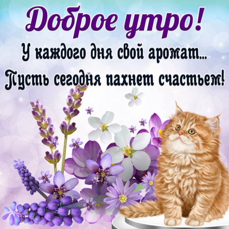 Картинки с пожеланиями доброго утра