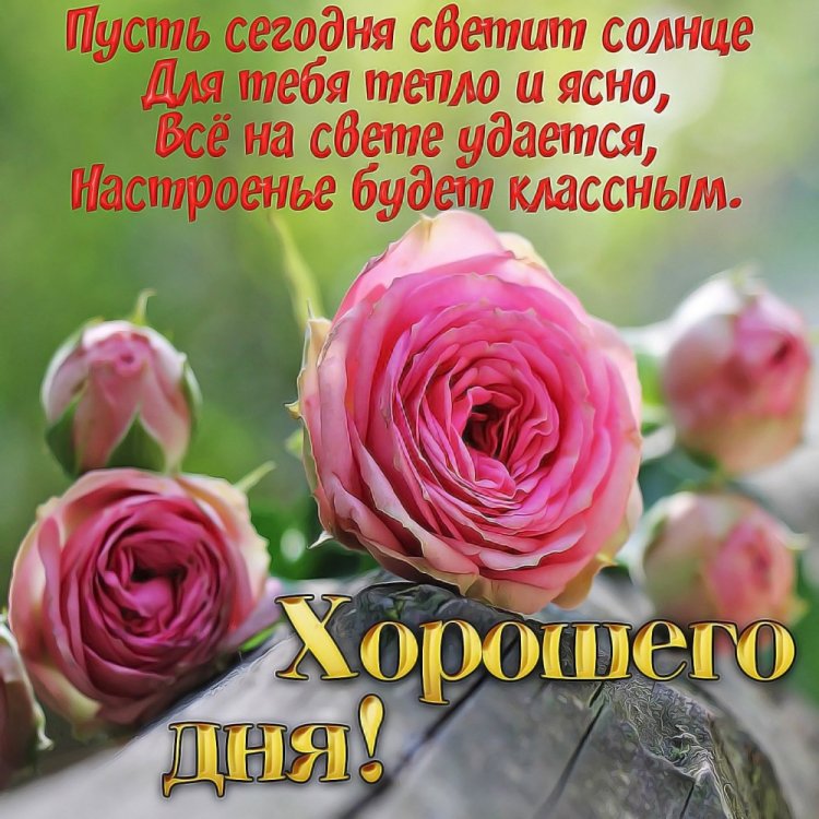 Картинки с пожеланиями доброго настроения