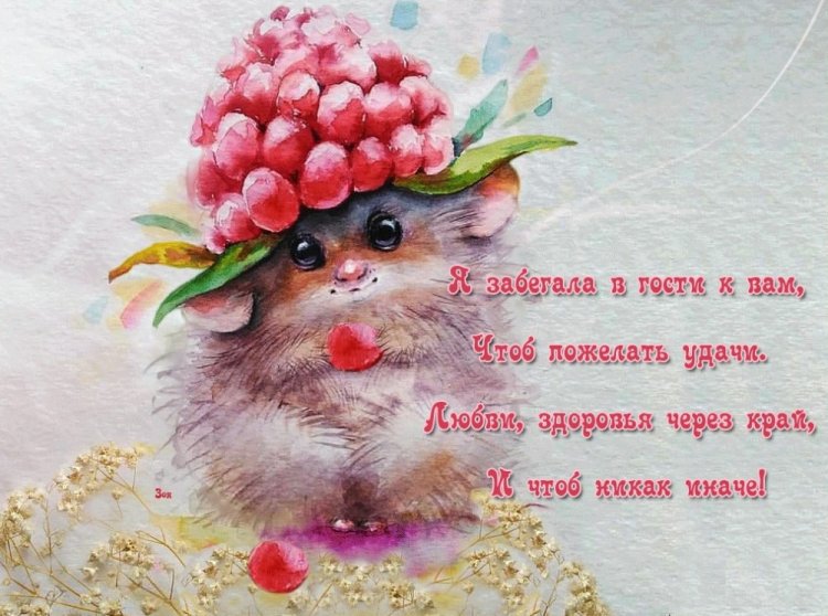 Позитивные картинки с пожеланиями добра