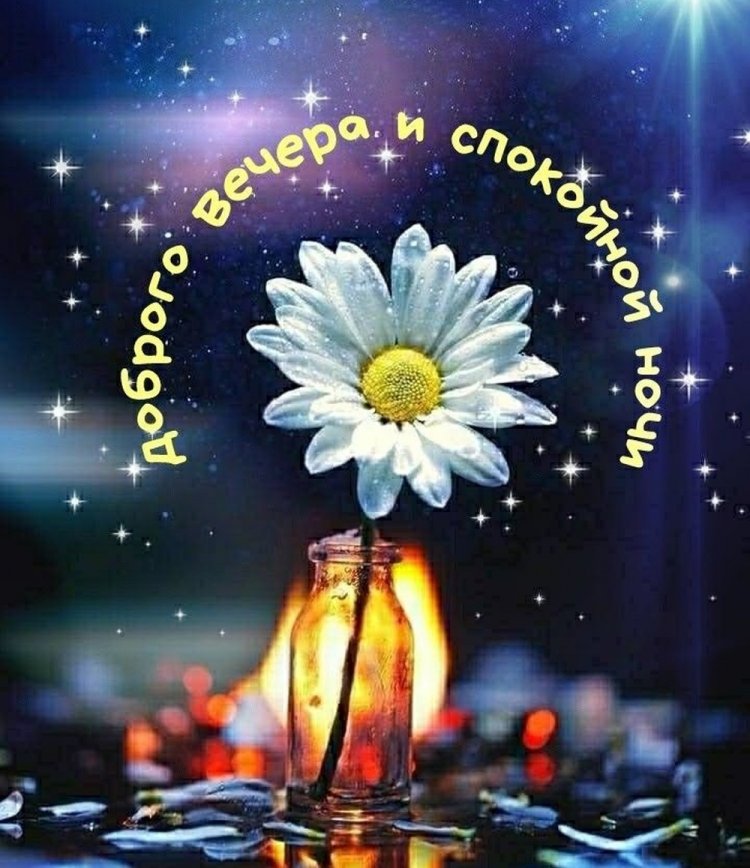 Картинки «Добрый вечер и спокойной ночи!»