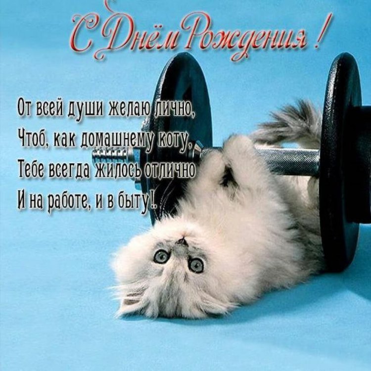 Прикольные и смешные картинки «С Днем рождения!» мужчине