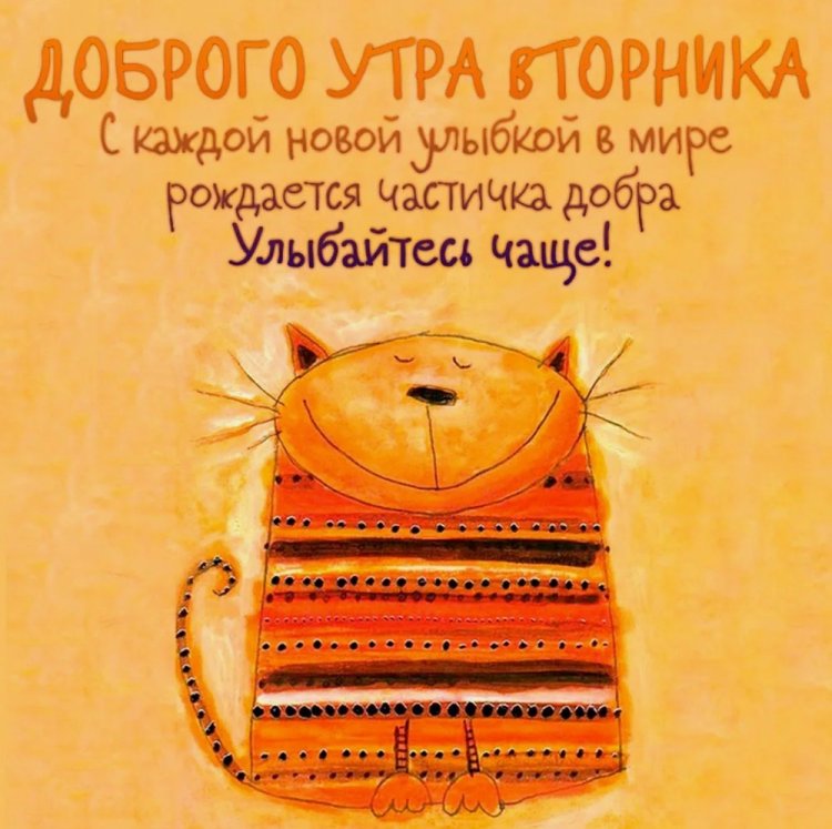 Прикольные и смешные картинки «Доброе утро вторника!»