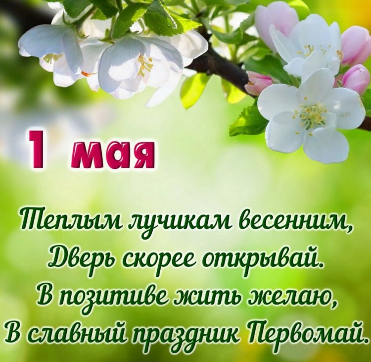 Красивые и оригинальные открытки с 1 Мая