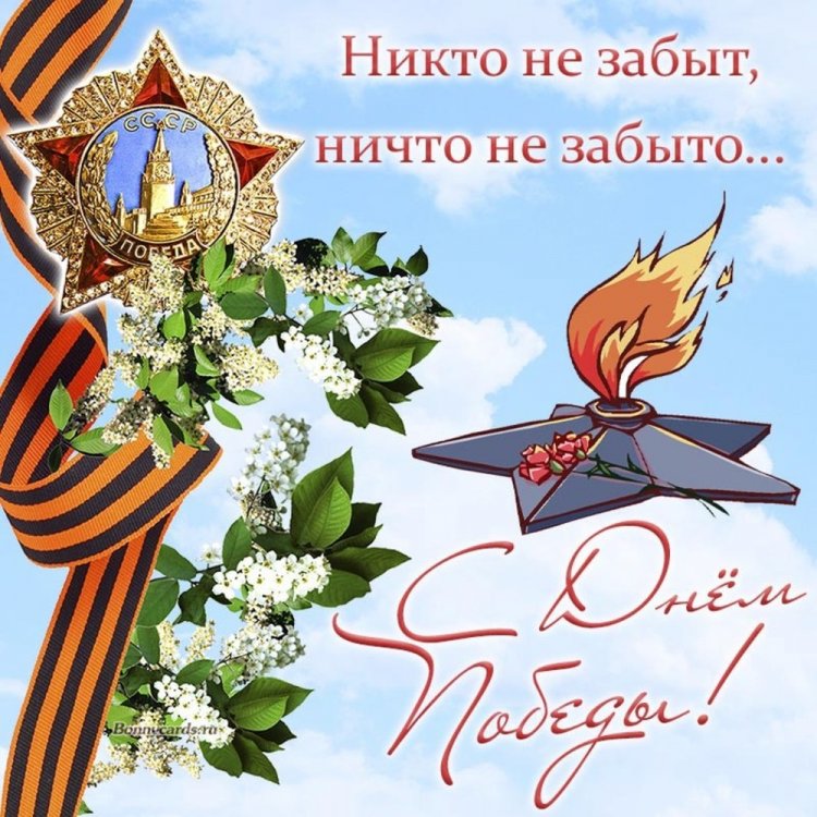 Открытки на 9 Мая коллегам