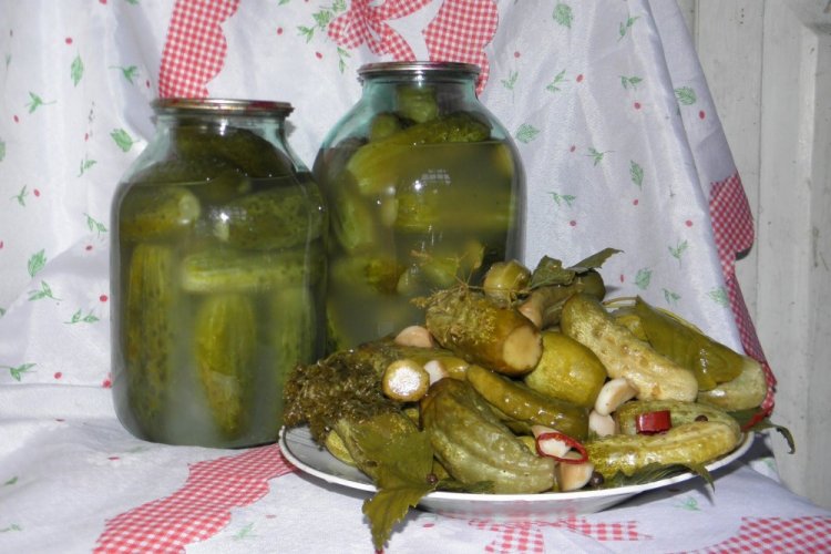 Квашеные огурцы на зиму
