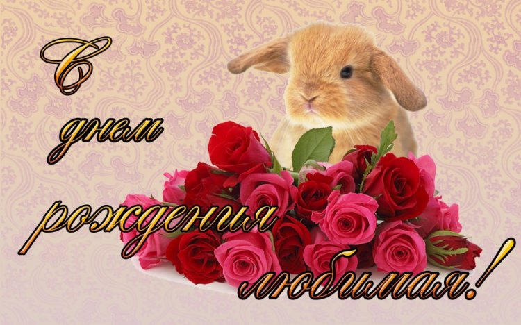 Прикольные открытки и картинки «С Днем рождения, любимая!»