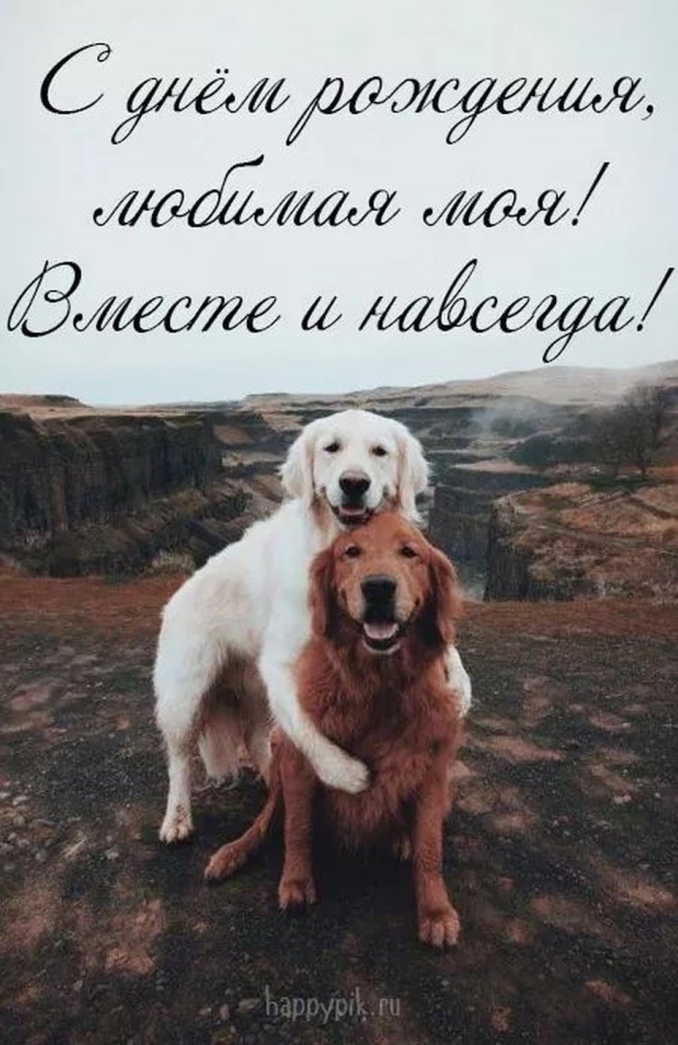 Прикольные открытки и картинки «С Днем рождения, любимая!»