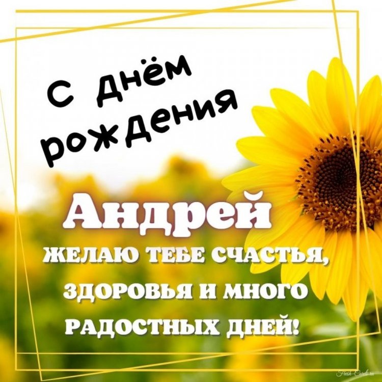 Картинки на День рождения Андрею с пожеланиями