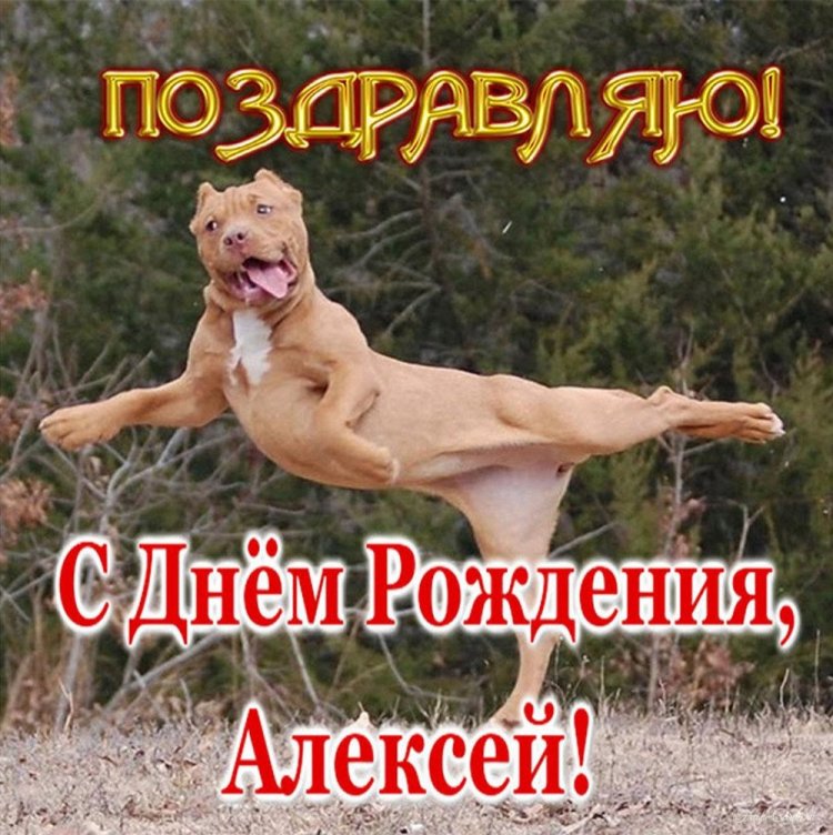 Прикольные открытки и картинки «С Днем рождения, Алексей!»