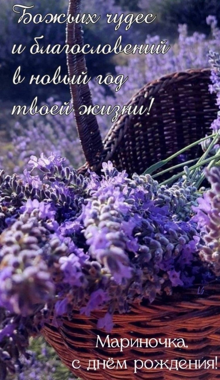 Трогательные и добрые картинки «С Днем рождения, Марина!»