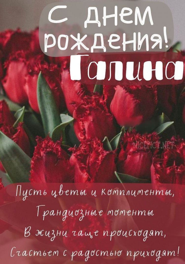 Картинки на День рождения Галине с пожеланиями