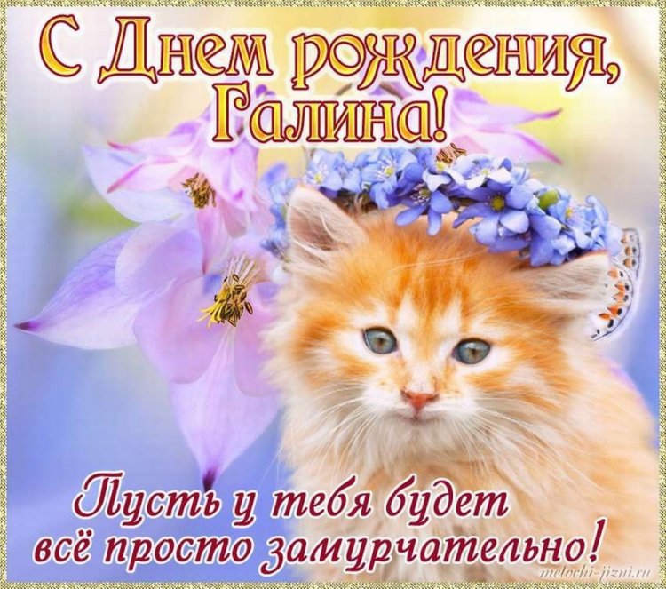 Прикольные открытки и картинки «С Днем рождения, Галина!»
