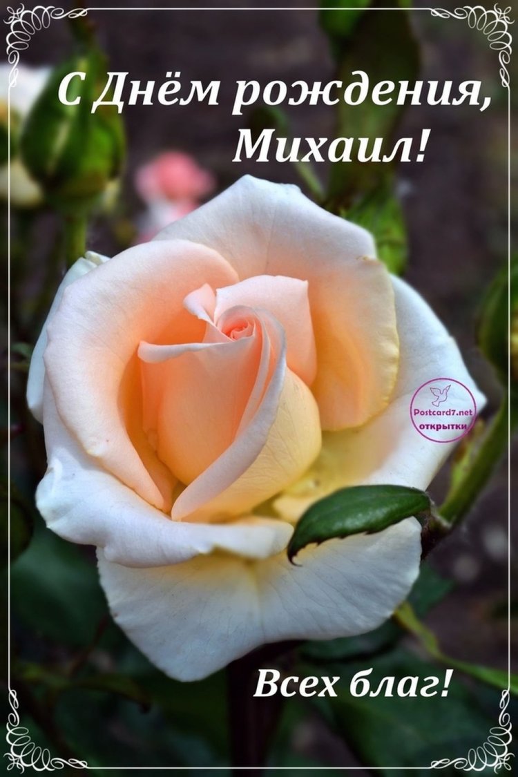 Открытки и картинки «С Днем рождения, Михаил!» на юбилей