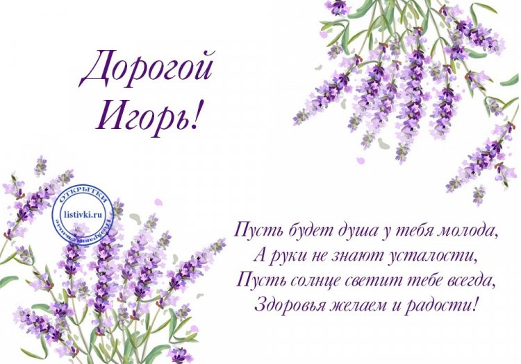Трогательные открытки и картинки «С Днем рождения, Игорь!»