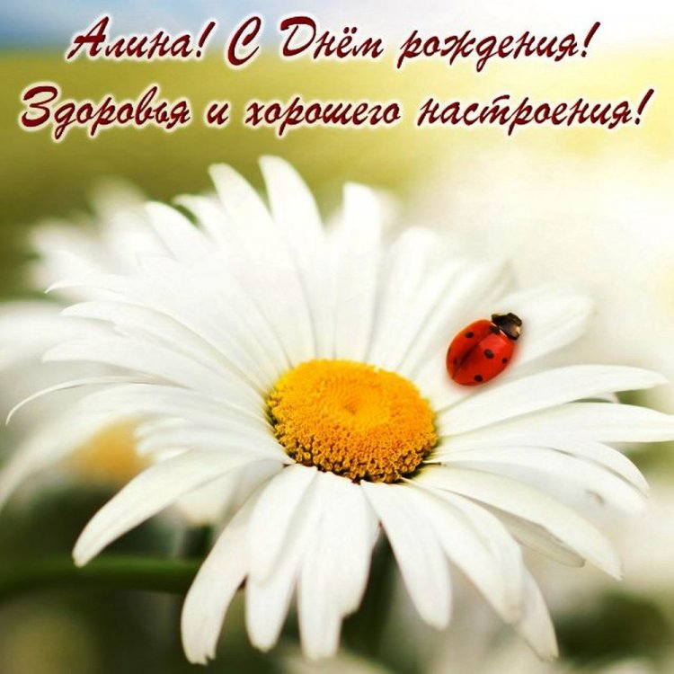 Красивые и оригинальные картинки «С Днем рождения, Алина!»