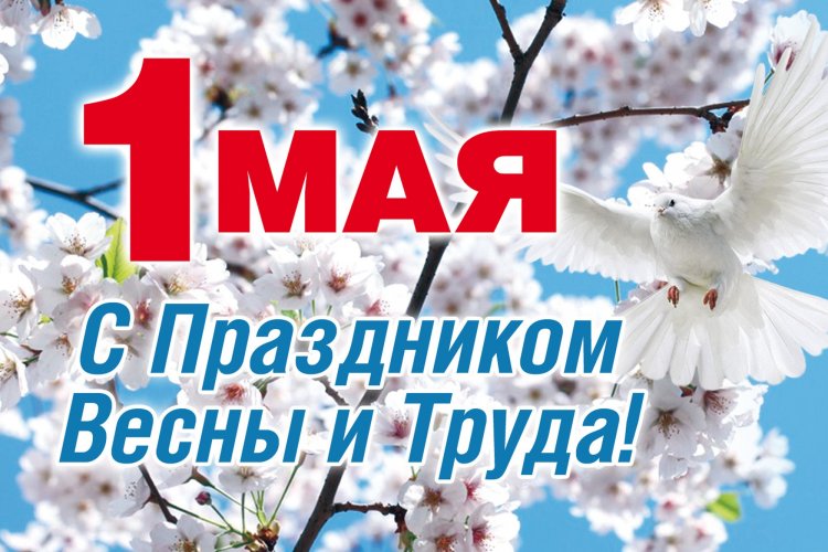 Поздравления с 1 Мая коллегам – прикольные и трогательные своими словами