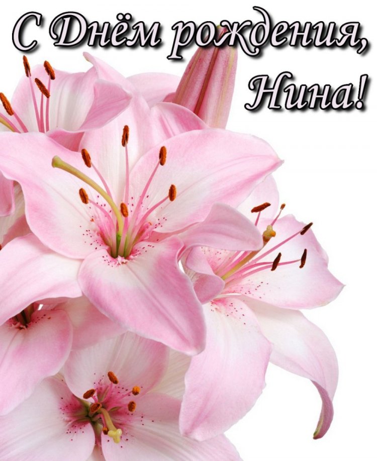 Трогательные открытки и картинки «С Днем рождения, Нина!»