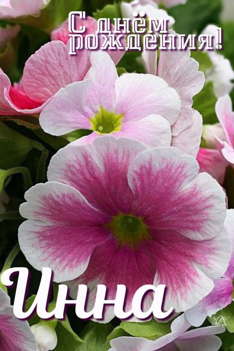 Красивые и оригинальные открытки «С Днем рождения, Инна!»