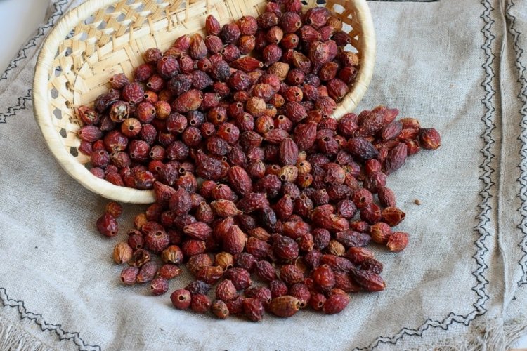 Сушеный шиповник на зиму