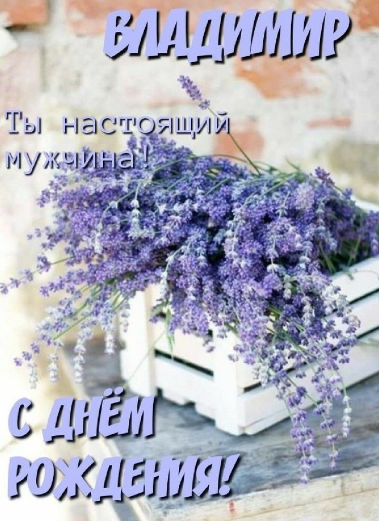 Красивые и оригинальные картинки «С Днем рождения, Владимир!»