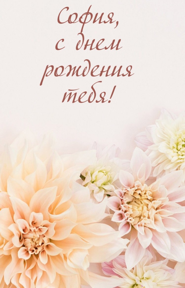 Красивые и оригинальные картинки «С Днем рождения, София!»
